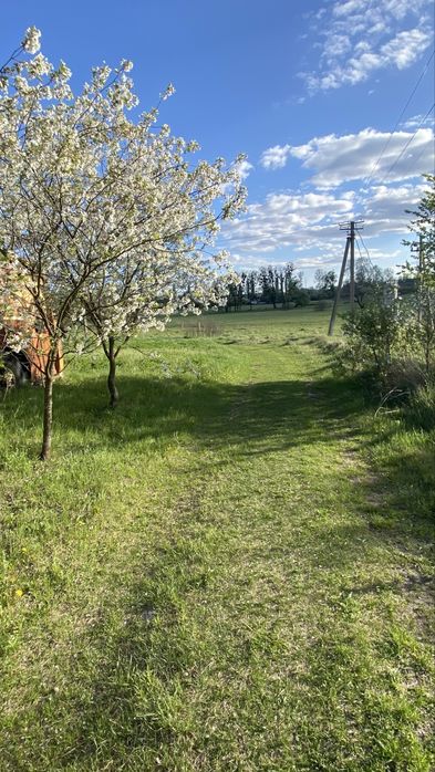 ЕкоЛокація 12 соток с. Копачів, м. Обухів 14 км