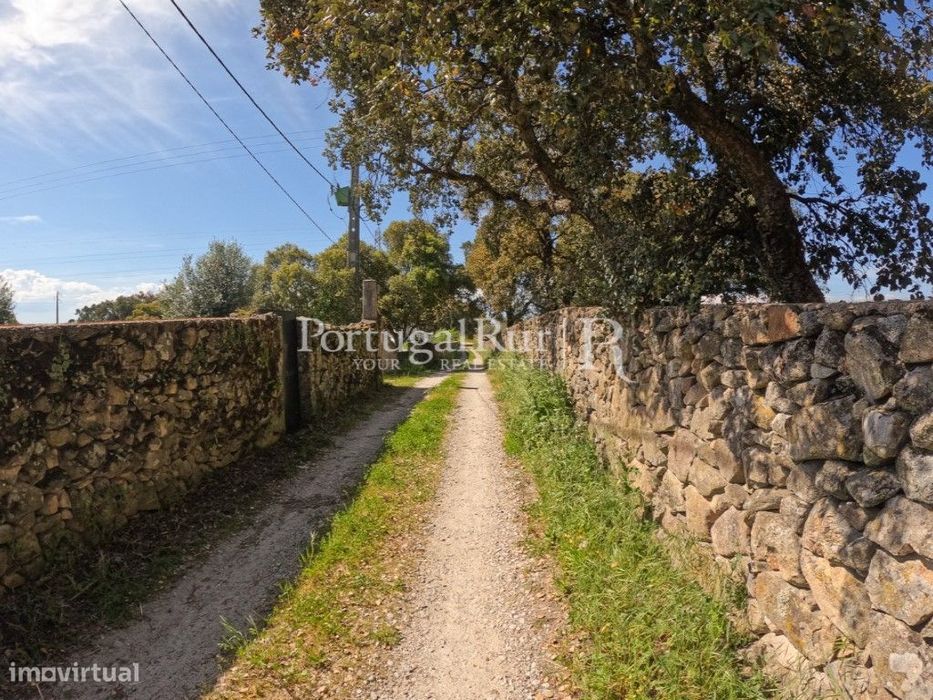 Quintinha T1 com piscina