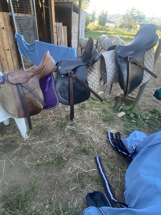 Selas para cavalos