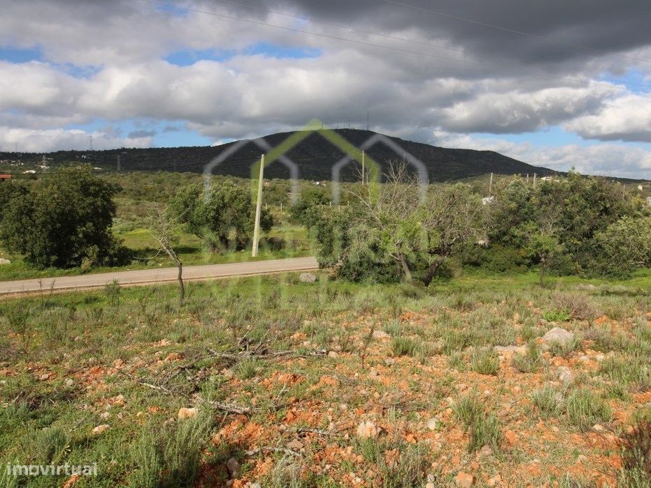 Terreno Rústico junto a Estrada em Vale de Gralhas, Estoi