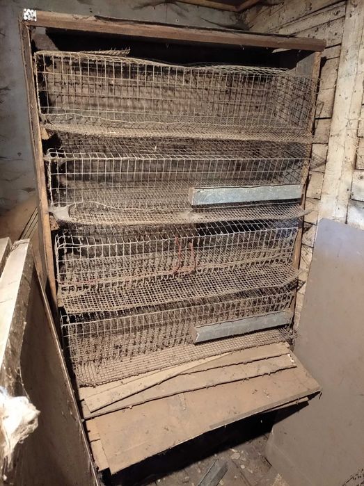 Клетки для перепелов