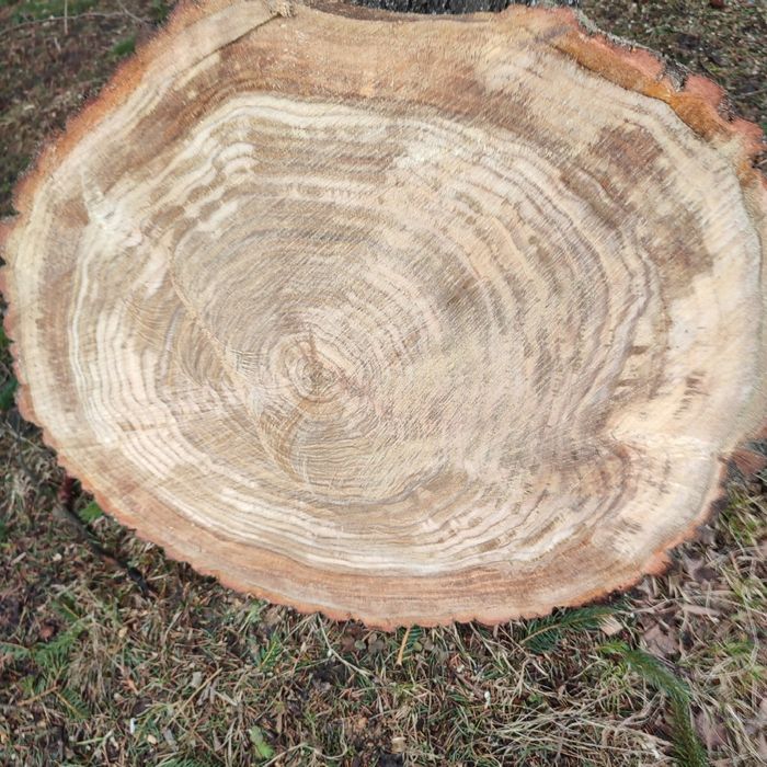 Okrągłe pilastry dębowe