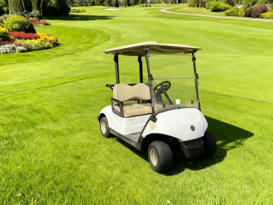 Wózek golfowy, yamaha, nie melex
