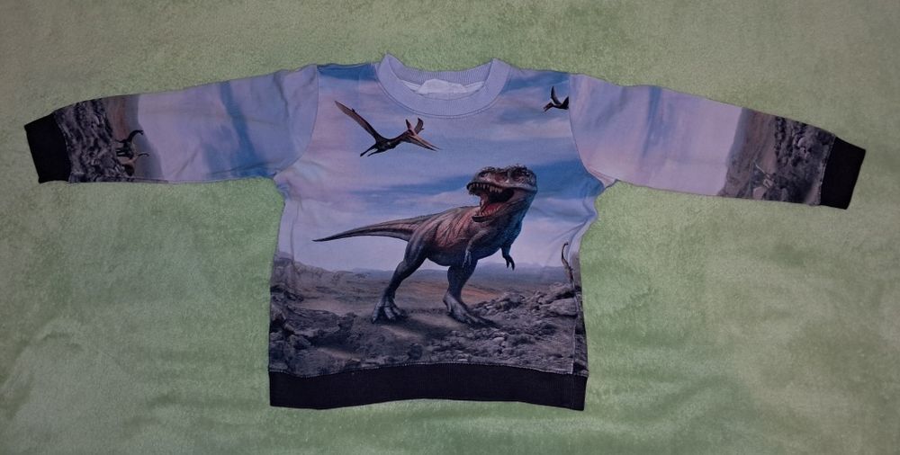 Bluza H&M 110 116 dinozaury t-rex