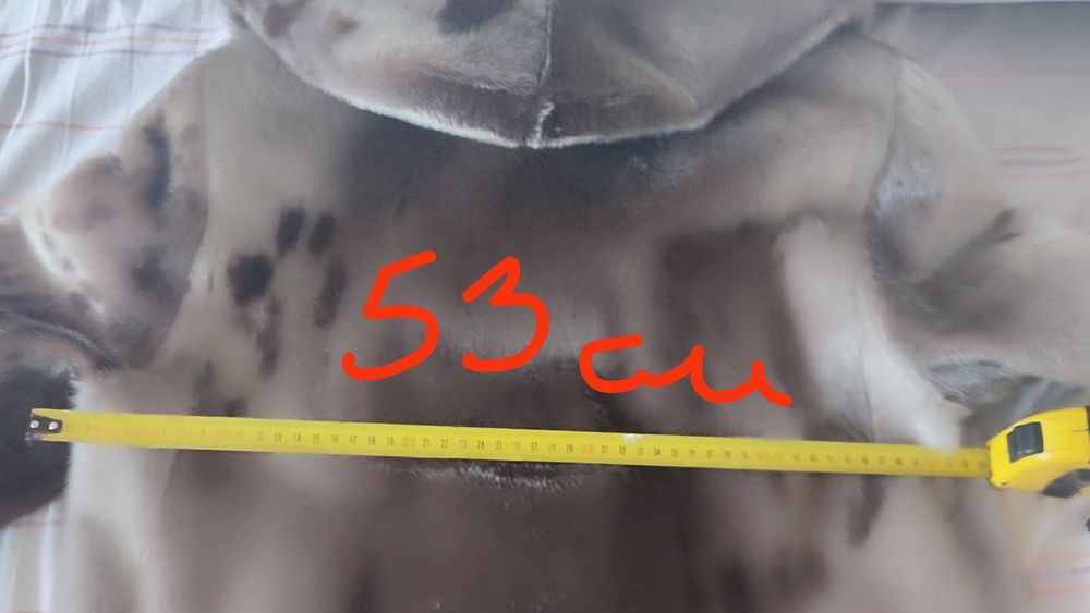 Шуба натуральная из нерпы