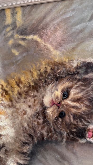 Квртина олійними фарбами. Кіт