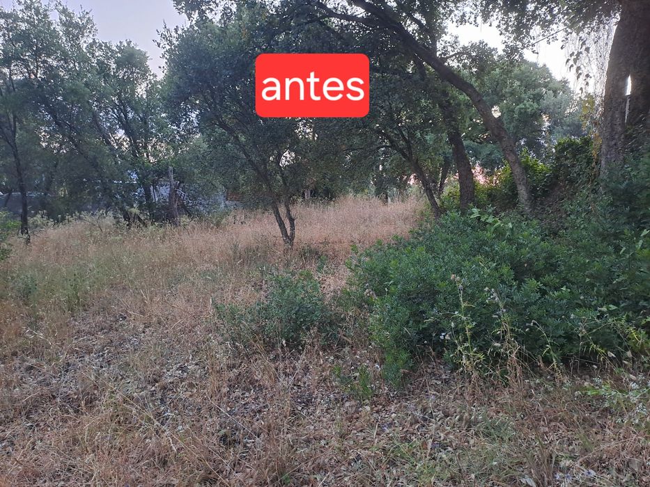 Limpeza de terrenos/ desmatação/ lavouras com trator
