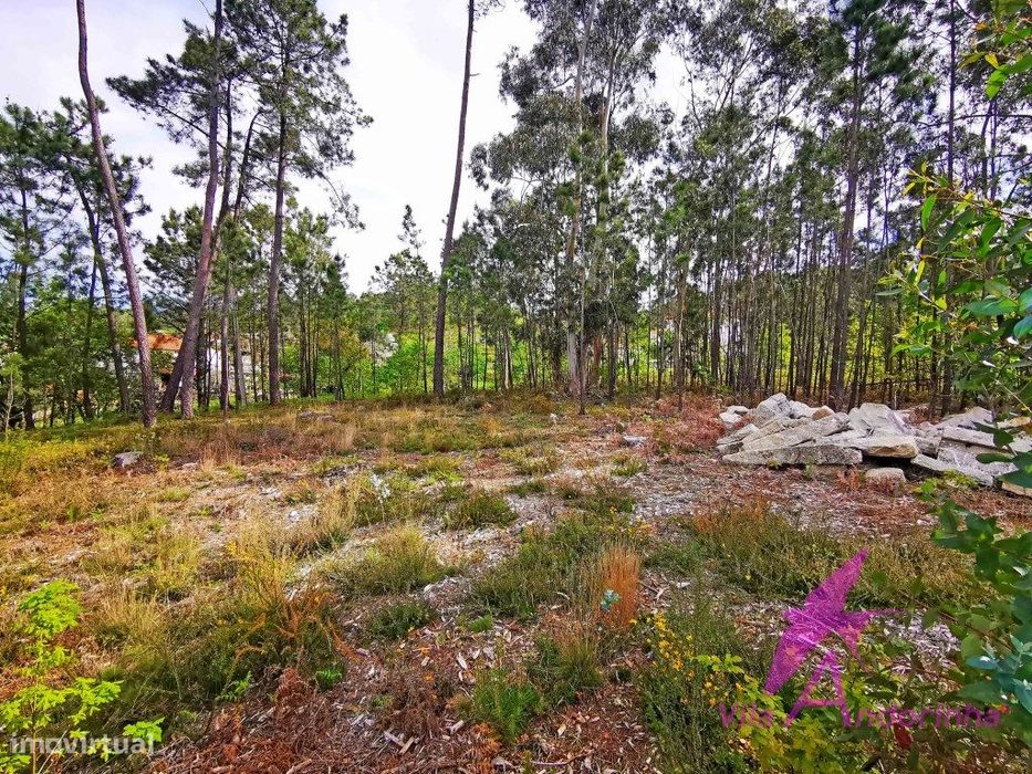 Terreno em Nogueira com vista desafogada