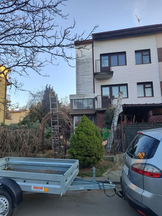 Wycinka drzew i krzewów metoda alpinistyczna