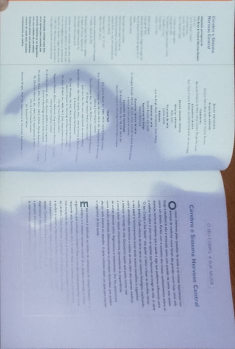 Cérebro e sistema nervoso central - Seleções Reader's Digest