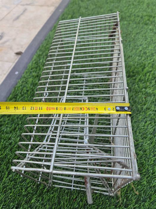 Ratoeira para ratos grandes e pequenos