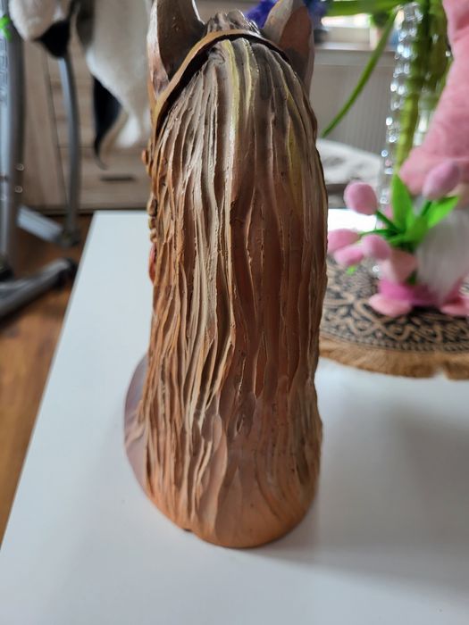 Piękna głowa  konia