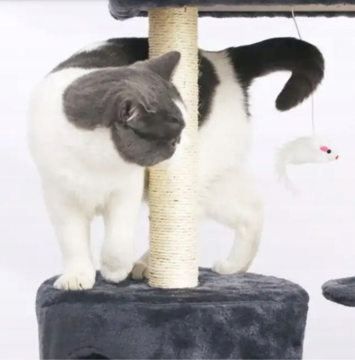 Когтеточка, ліжко, когтеточка, вишка 101 - 138 см