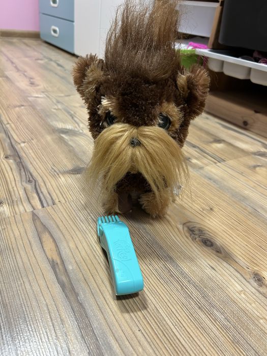 Hasbro kudłaty Pies Shaggy