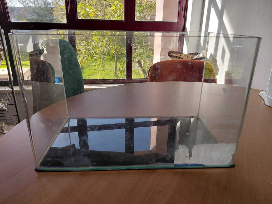 Aquario com 2 semanas de utilização