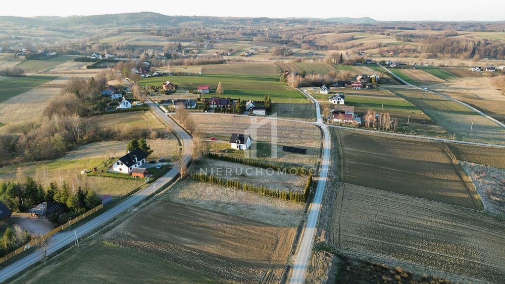 Zdjęcie 5