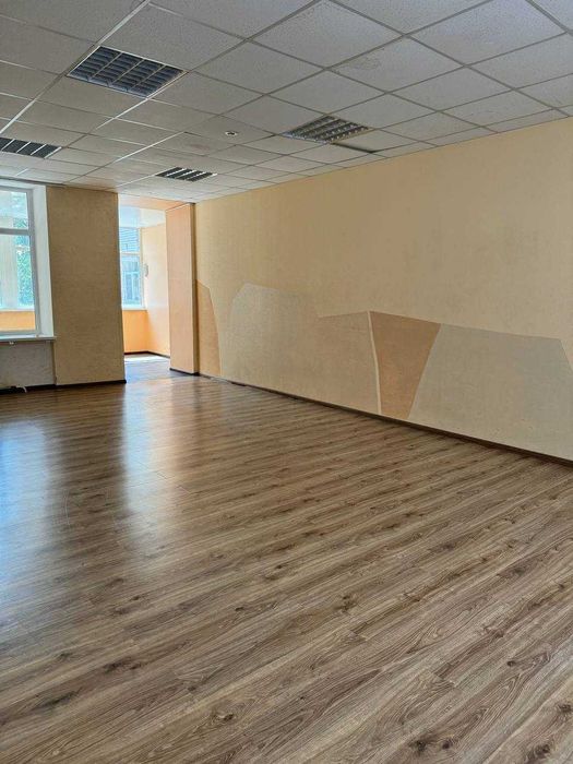 Центр Александр. р-на Большой офис ->65м2