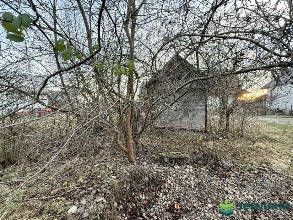 Продається дачна ділянка у Хриплині (7)