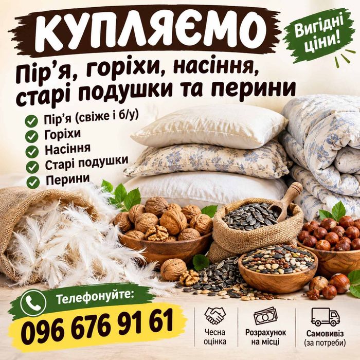 Купляємо пір’я, горіхи, насіння, старі подушки та перини