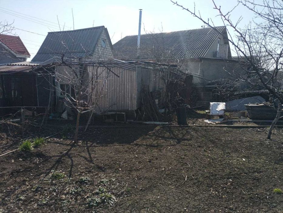 Дача возле леса Алтестово