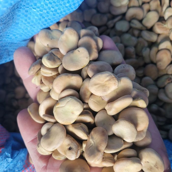 Bób 5kg Bizon SUPER JAKOŚĆ