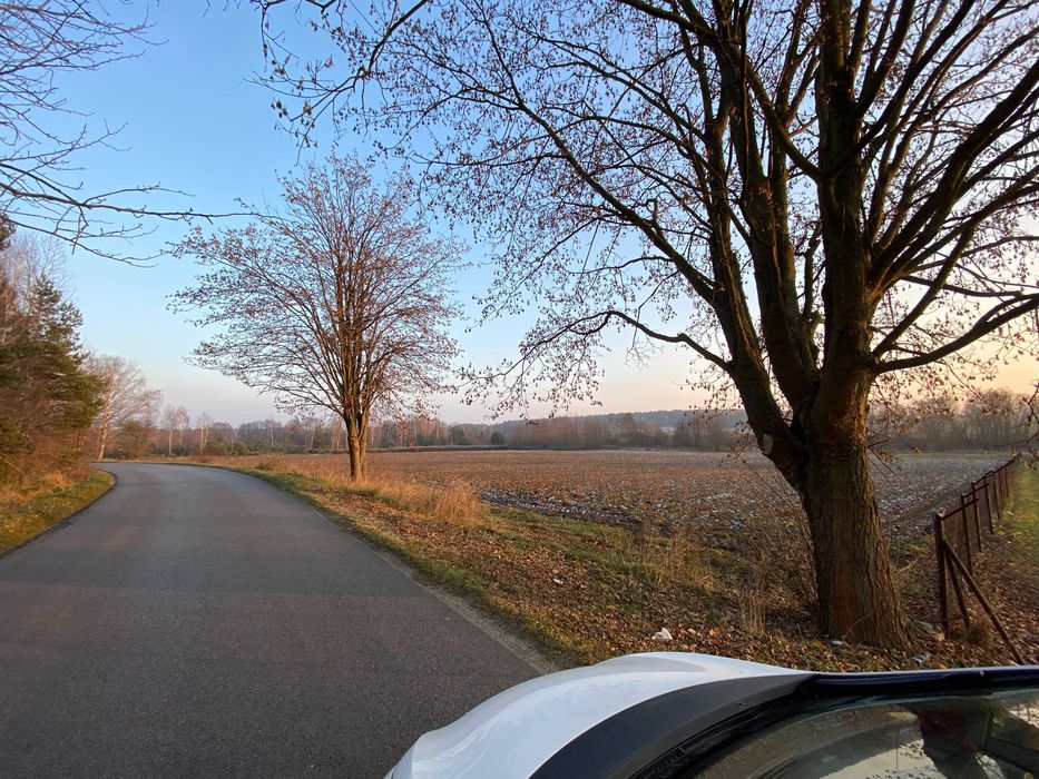 Działka z warunkami zabudowy Branica (k. Białobrzeg) 7600 m² - Widok 3