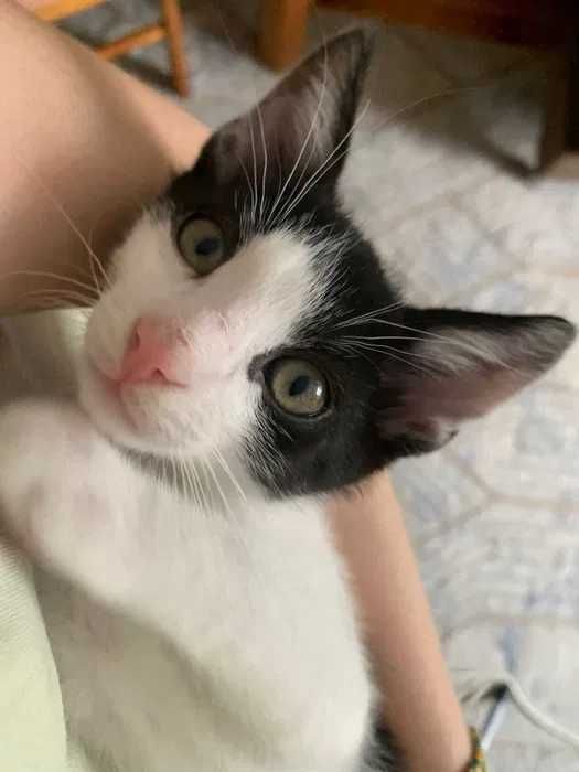 Cześć mam na imię Maciek