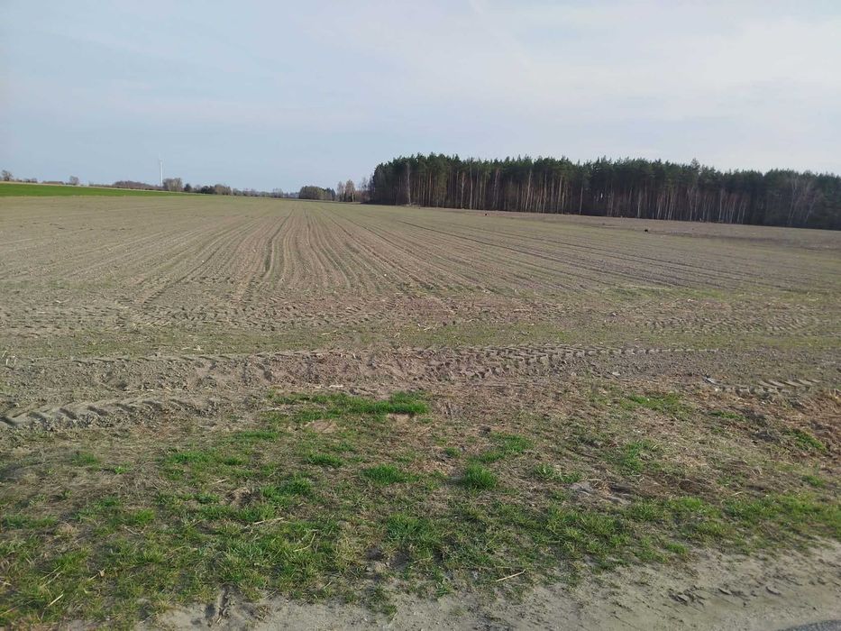 Działki budowlane Malczyn gmina Nasielsk 19/1-19/8 - Więcej