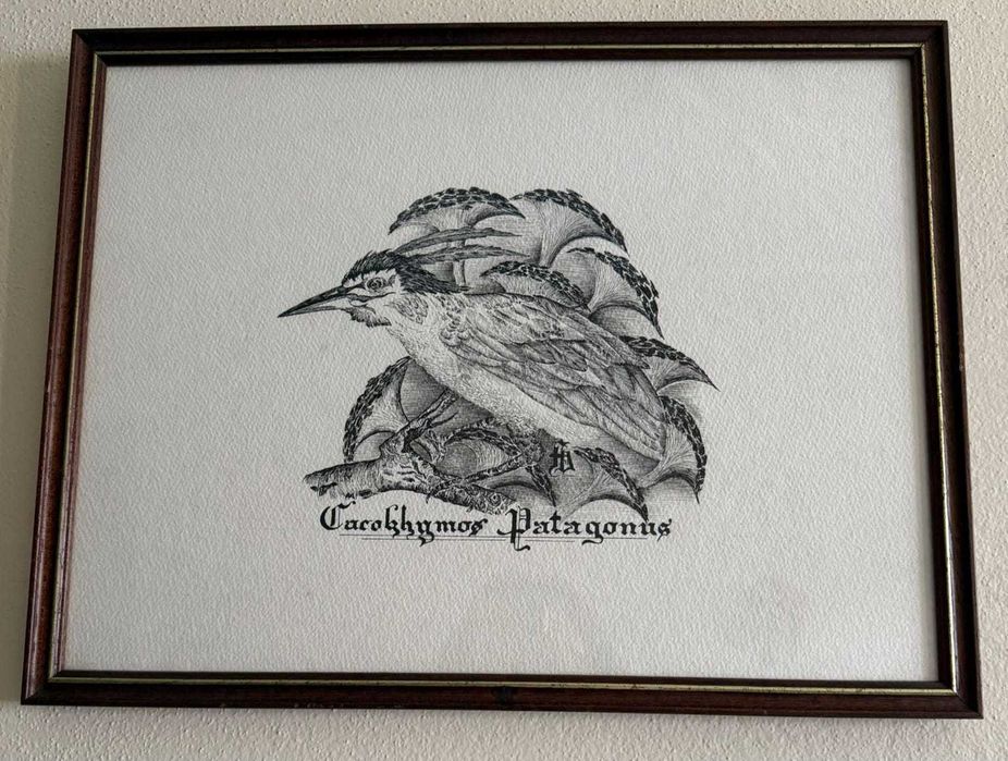 Conjunto de 6 Quadros Naturalistas - Aves Exóticas (Coleção 1982–1983)