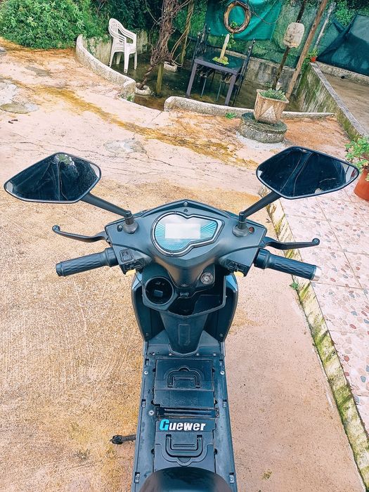 Bicicleta Elétrica Guewer ZGL 60V 250W