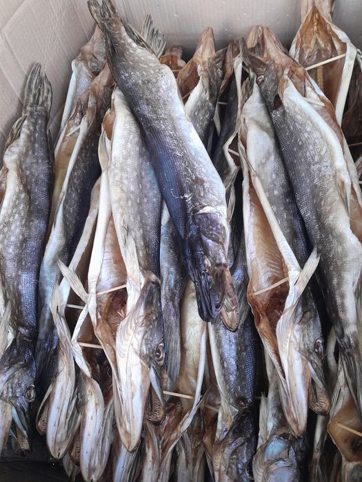 Тарань домашнего посола 100%Икряная