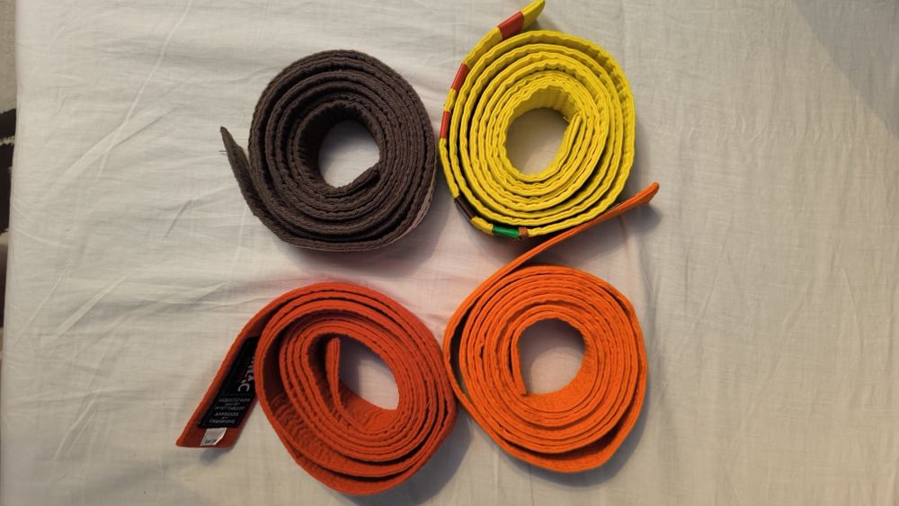 Пояса для единоборств