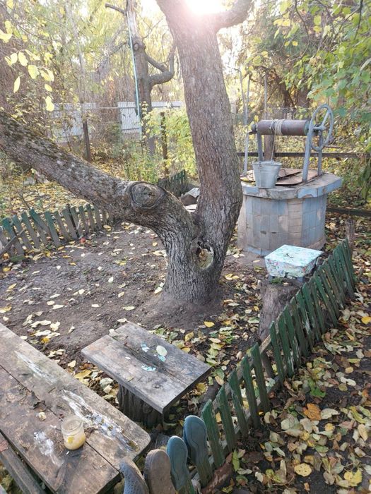 Будинок в селі з власним виходом до річки