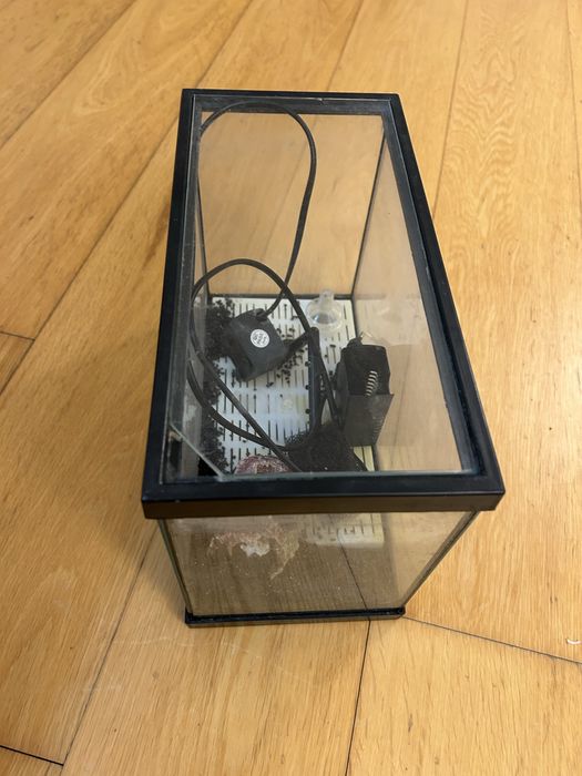 Aquario peixes agua fria