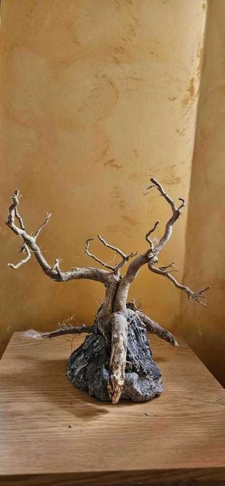 Korzenie ozdobne duże na ścianę lampę , elewacje dekoracyjne stylowe