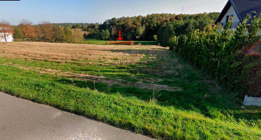 Działka budowalana 60 Ar Borek Nowy (Rzeszów, Tyczyn) - Widok 5