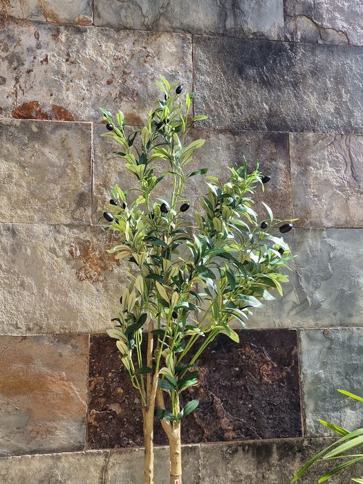 oliveira artificial decorativa