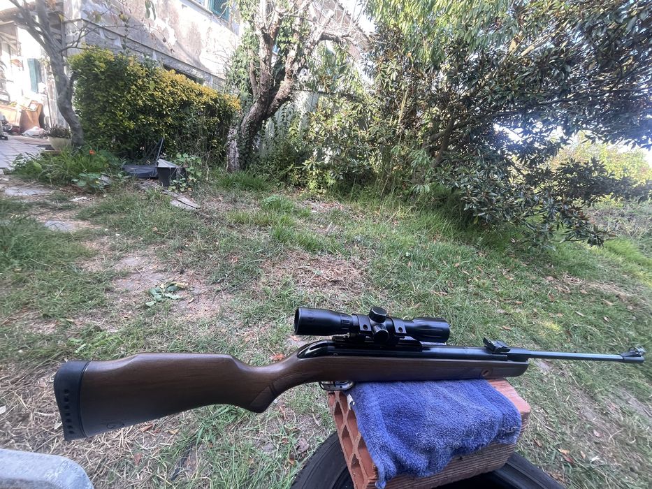 Espingarda presao de ar gamo