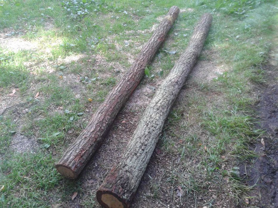 Słupki kołki dębowe 3, 3,5m