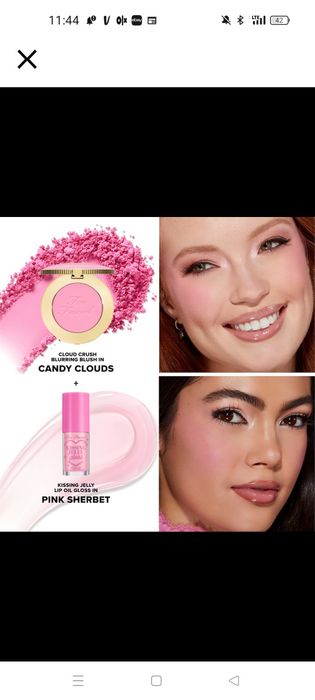 Too Faced Blush & Lip Gloss Set