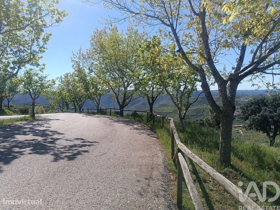 Terreno em Freixo de Espada à Cinta e Mazouco de 49572,00 m2