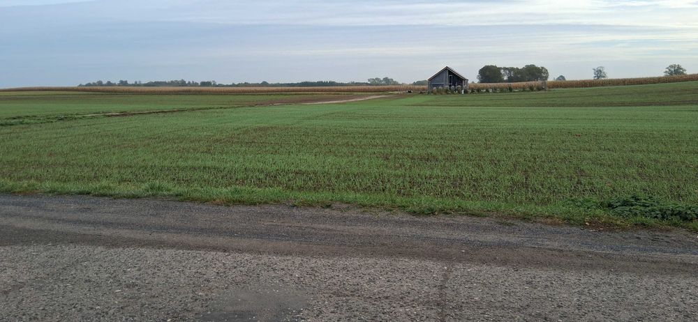 Stargard -Kiczarowo DZIAŁKA 2728 m² –4 WZ! - Widok 4