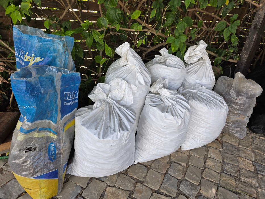 Alfarroba limpa à venda (120 kg) – Tavira