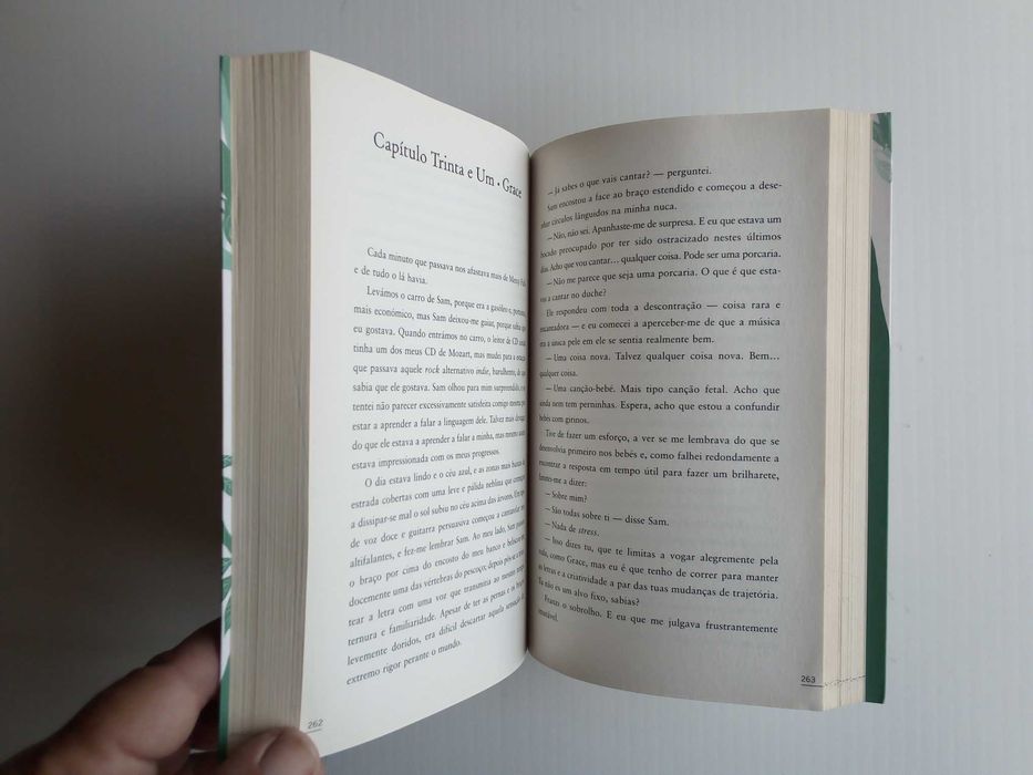 Livro "linger", de maggie stiefvater