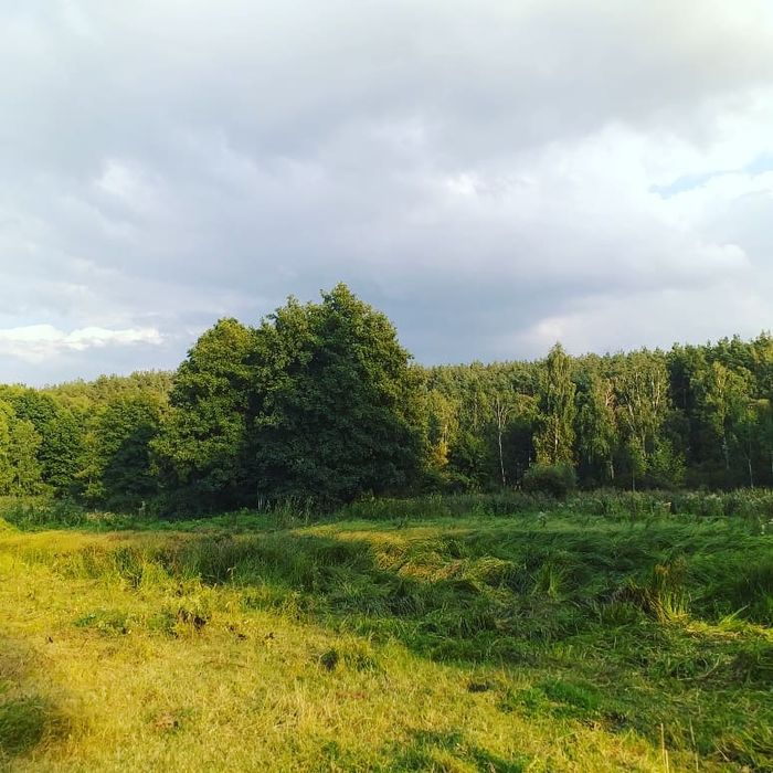 Княжичи продам участок  13 соток