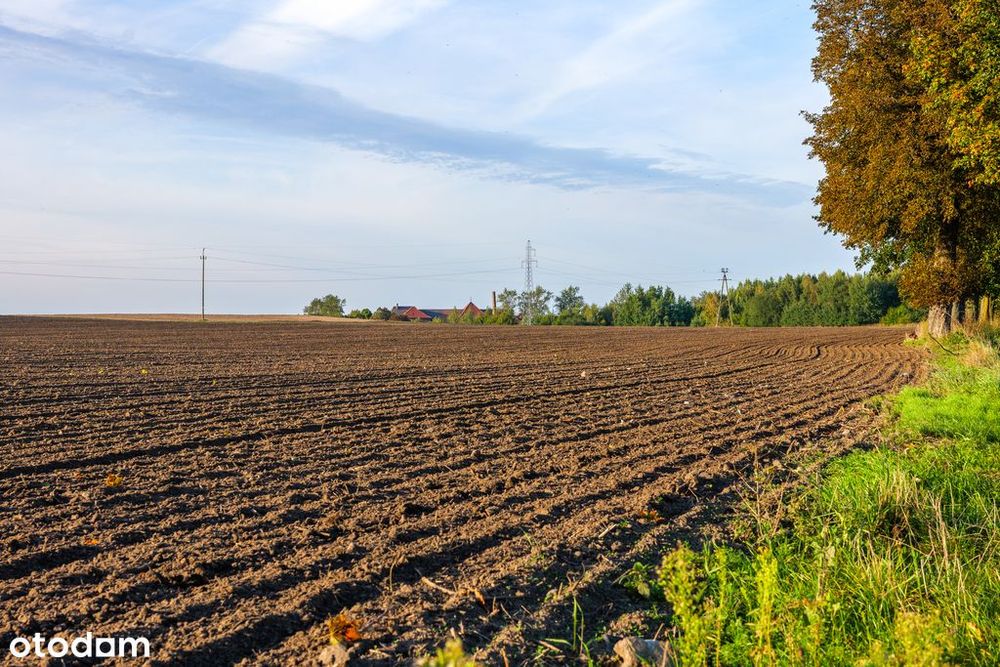 Działka z potencjałem – Sławno | Bobrowiczki