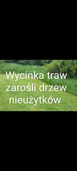 Wiosenne porządki na działce ogrodzie