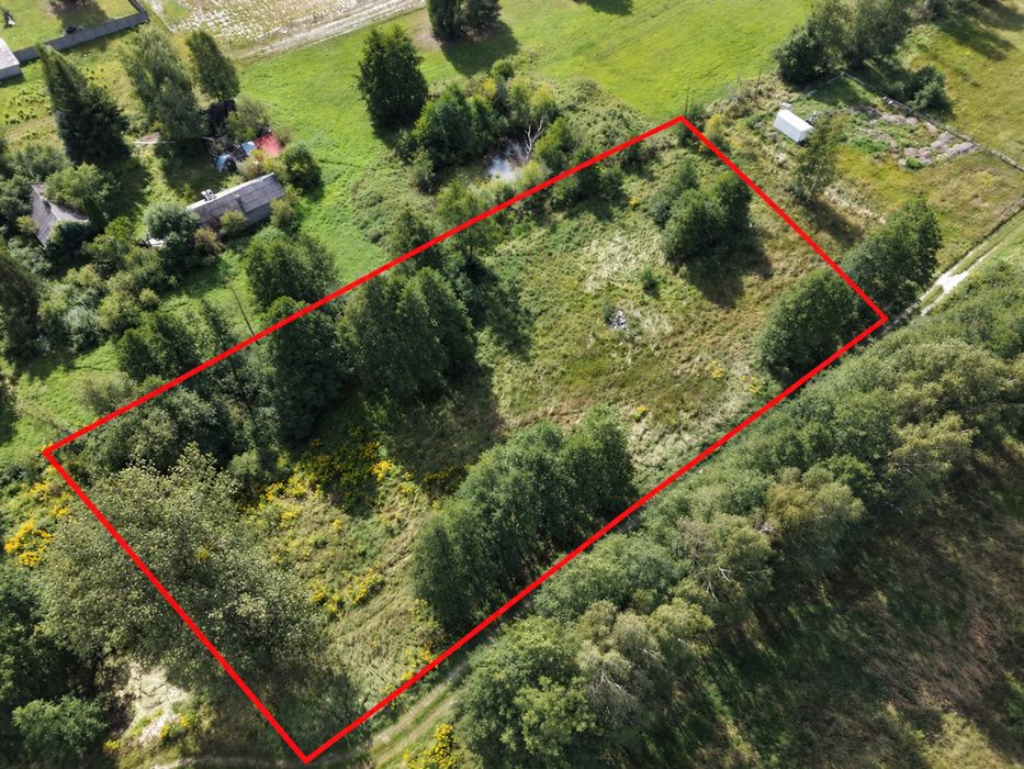 PIĘKNA DZIAŁKA BUDOWLANA 3233M² Z MPZP, z drzewami na działce, regularny ksztalt i potencjał podziału, Radziwiłłów - Widok 4