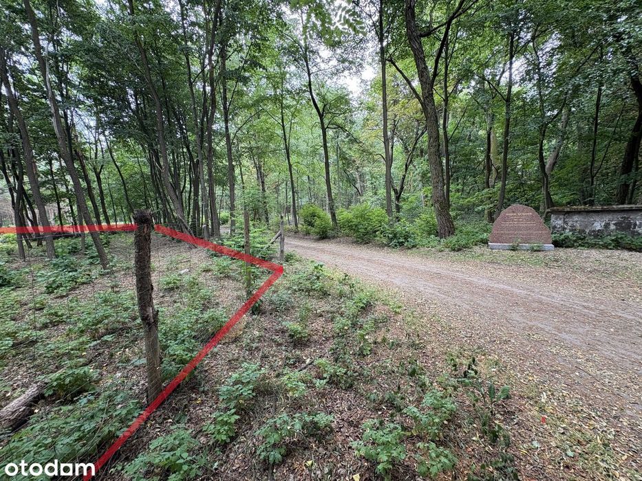 Działka budowlana 1505 m² , ogrodzona, prąd, Wężyk, gmina Grodzisk Maz