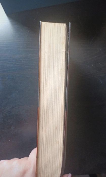 Rainha das Terras da Luz livro